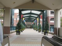 IMG_3862.JPG
